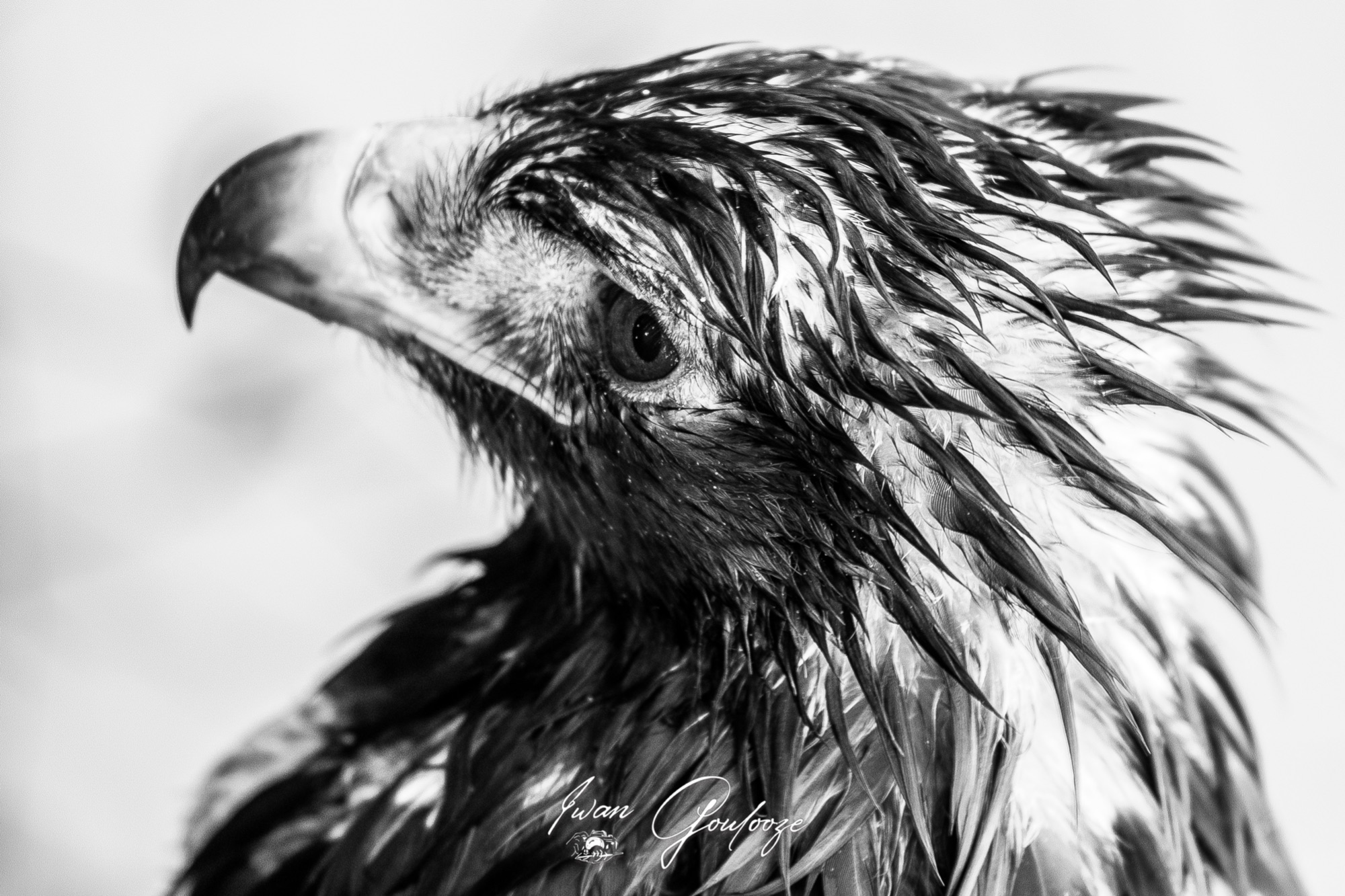  5D40658 12 december 2021 1140 27 2